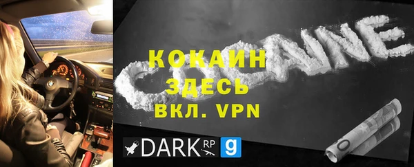 прущие грибы Каменск-Шахтинский