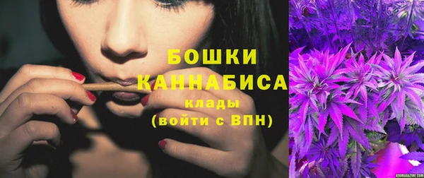 прущие грибы Каменск-Шахтинский