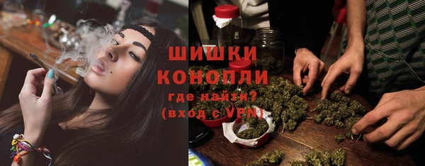 прущие грибы Каменск-Шахтинский