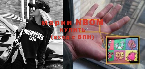прущие грибы Каменск-Шахтинский